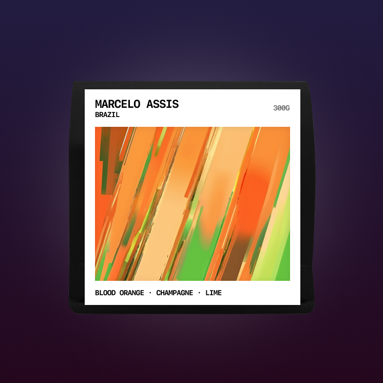 Brazil - Marcelo Assis