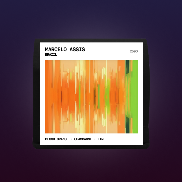 Brazil - Marcelo Assis