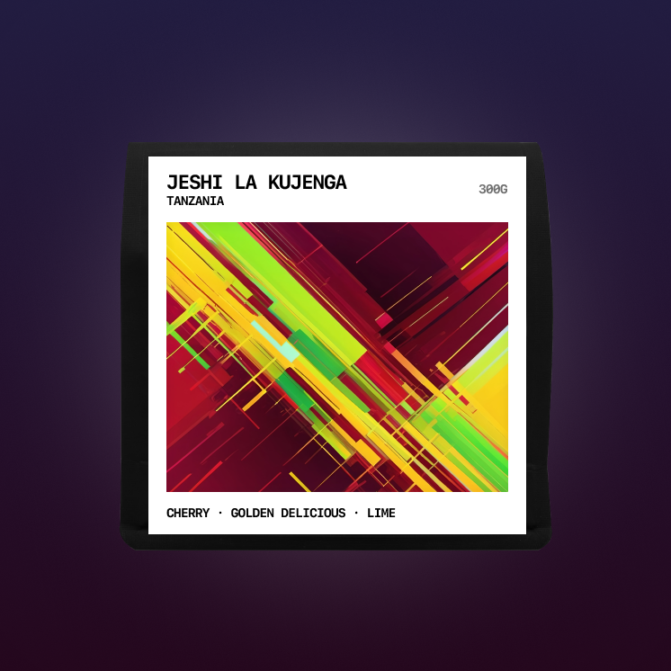 Tanzania - Jeshi la Kujenga