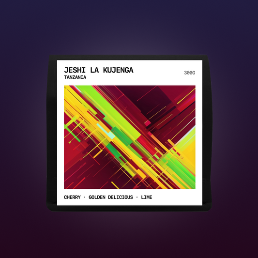 Tanzania - Jeshi la Kujenga