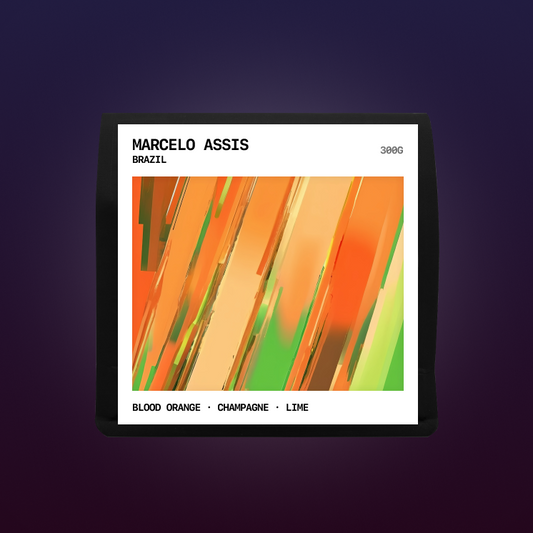 Brazil - Marcelo Assis