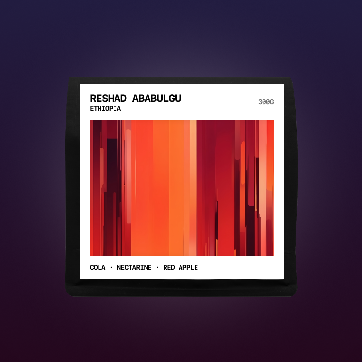 Ethiopia - Reshad Ababulgu