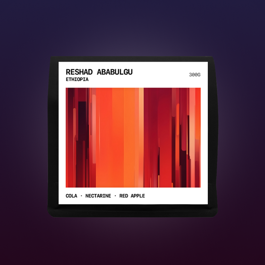 Ethiopia - Reshad Ababulgu